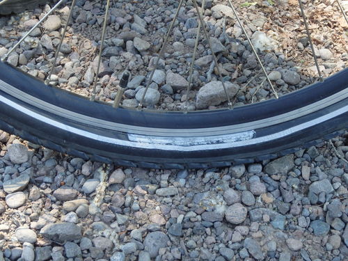 GDMBR: Terry noticed a Tire/Tube Aneurysm (a tube bulge through the tire)!